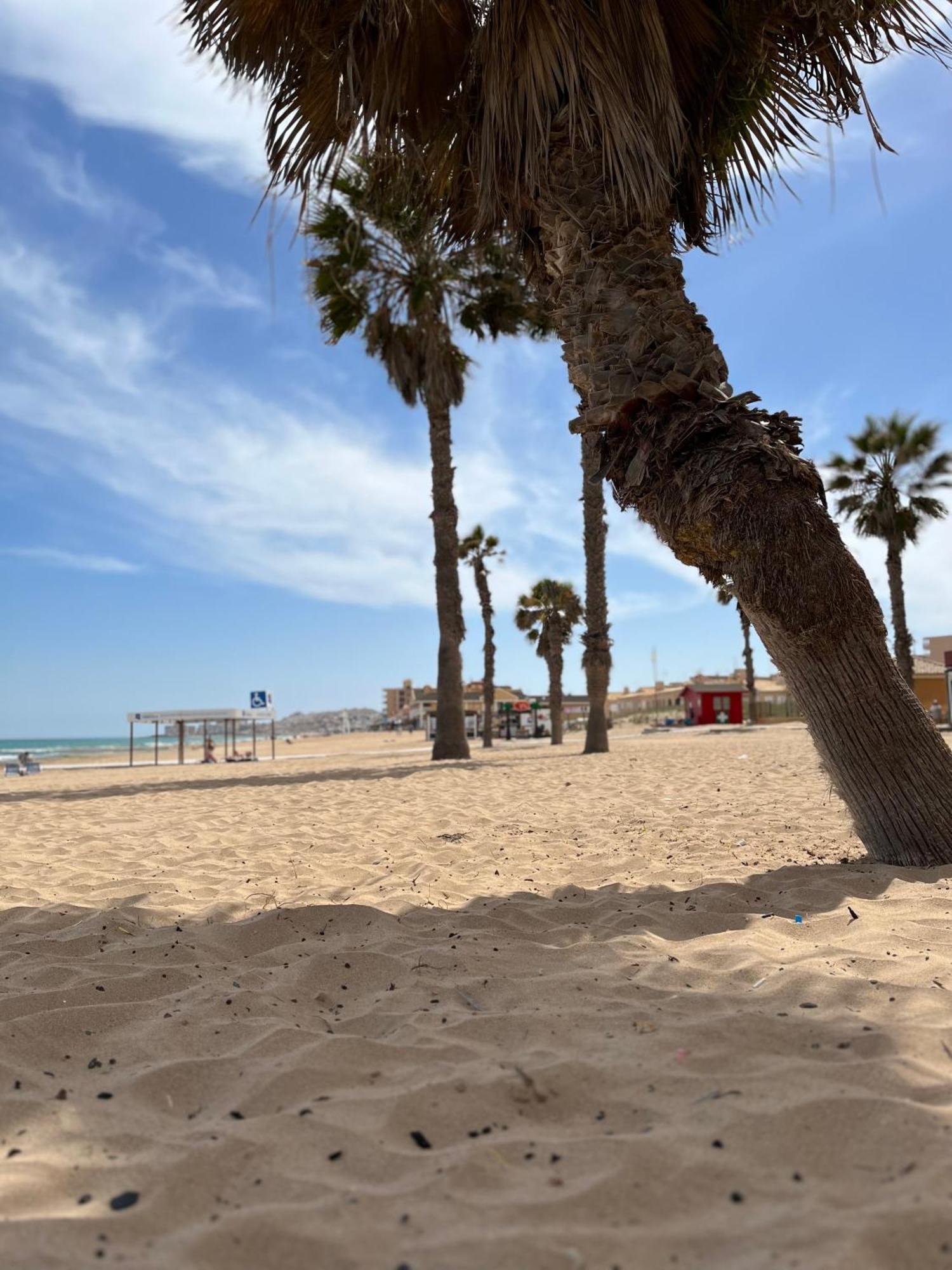 Апартаменты Sol De Mar, La Mata Ла-Мата Экстерьер фото