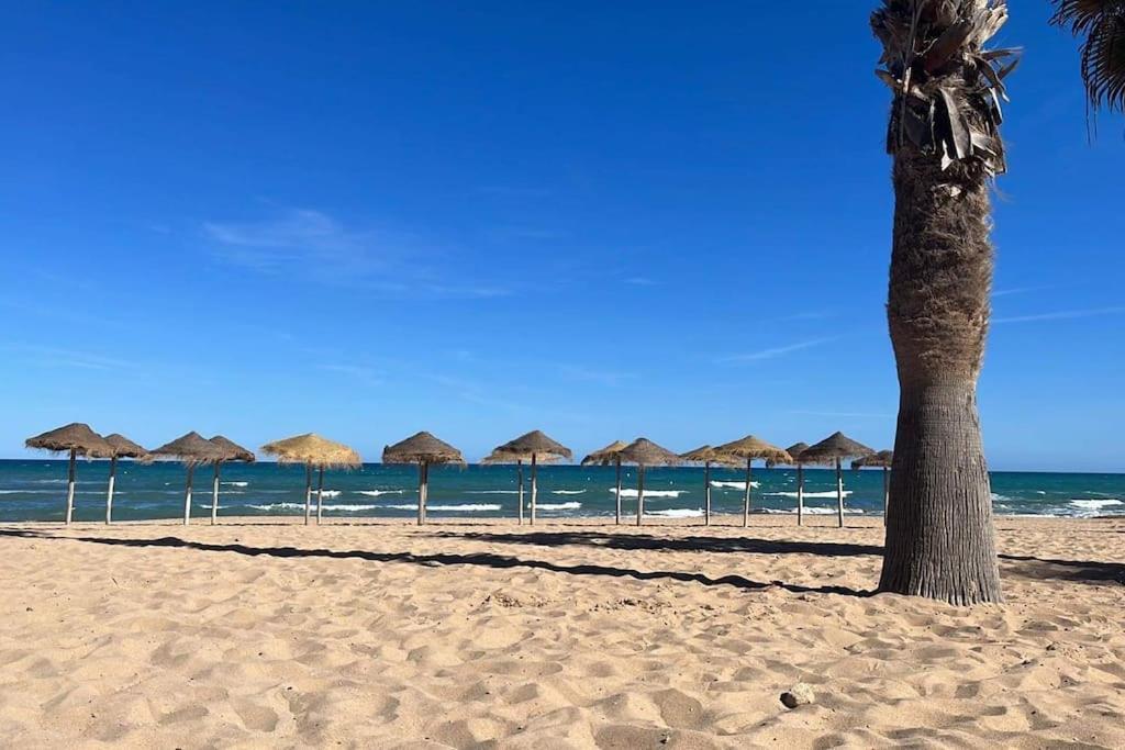 Апартаменты Sol De Mar, La Mata Ла-Мата Экстерьер фото
