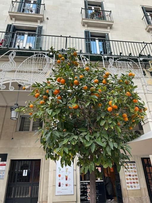 Апартаменты Sol De Mar, La Mata Ла-Мата Экстерьер фото